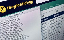 Ngân hàng Nhà nước: Chưa khách hàng nào bị lộ thông tin thẻ trong vụ rò rỉ thông tin giao dịch ở Thế giới di động