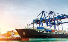 Ngành cảng biển cũng hưởng lợi từ chiến tranh thương mại Mỹ - Trung