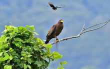 Thiết bị y tế: Mảng tỷ đô của ngành dược và những "giai thoại"