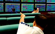 Sử dụng 24 tài khoản để thao túng giá cổ phiếu MPT, một cá nhân bị phạt nặng