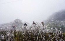 Đợt rét đậm kéo dài đến 4/1, Bắc Bộ có khả năng xảy ra băng giá