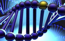 Vingroup đầu tư 4,5 triệu USD nghiên cứu giải mã gen người Việt