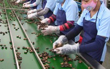 Điều - Ngoạn mục vượt mốc 3,5 tỷ đô