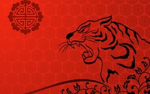 Dự đoán vận mệnh năm Mậu Tuất: Hứa hẹn một năm "bội thu" với người tuổi Dần