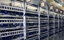 "Trâu cày" của dân đào coin Việt và số phận buồn những ngày giáp Tết