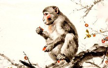 Dự đoán vận mệnh năm Mậu Tuất: Người tuổi Thân gặp may mắn trong những công việc liên quan tới dịch chuyển