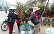 Nở rộ dịch vụ chở hoa, cây cảnh kiếm tiền triệu mỗi ngày