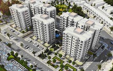 TIG: Quý 4 lãi cao, cả năm vẫn vỡ kế hoạch kinh doanh