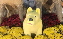 Biểu tượng chó ở đường hoa bị chê "không giống chó": Đang tìm cách khắc phục