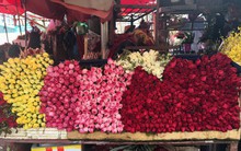Hoa tươi đắt kỷ lục, cháy hàng trong dịp Valentine