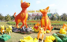 Khoác áo hoa ngày Tết, quảng trường Tam Kỳ đẹp lộng lẫy