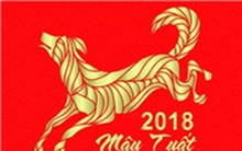 TTCK Việt Nam năm Tuất nhìn từ lịch sử 2006