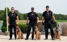 Chuyện thú vị về cảnh khuyển tháp tùng Tổng thống Mỹ đi khắp thế giới