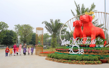 Xem ngày xuất hành khai trương để cát lành thịnh vượng năm Mậu Tuất 2018