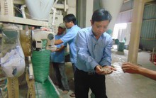 Xuất khẩu bã mía, cùi bắp… thu tiền tỉ