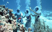 Thám hiểm đáy biển và những địa điểm lý tưởng ở châu Á để du xuân dịp Tết này