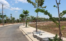 Nhà đầu tư "đón sóng" đất nền phân lô