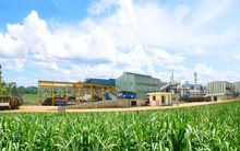 Lũ lớn kéo lợi nhuận LSS quý vừa qua rơi về mức thấp nhất 5 năm