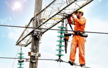 Tuấn Lộc vừa mua vào hơn 4,9 triệu cổ phần VNPD