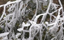 Cận cảnh băng tuyết phủ trắng núi rừng Mù Cang Chải