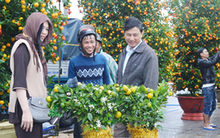 Nông dân miền Trung vui vụ hoa Tết