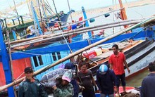 Trúng đậm cá ngừ đại dương