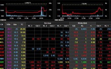 “Thị trường chứng khoán Việt đang bị lợi dụng bởi hai yếu tố”