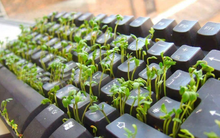 Pyn Elite vừa rót tiền mua vào một loạt cổ phiếu HBC, CMG và JVC