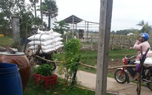 Buôn lậu hoành hành ở vùng biên