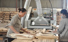 Ngành gỗ đặt mục tiêu xuất khẩu 10 tỷ USD, tiêu thụ nội địa 4 tỷ USD
