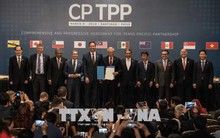 Việt Nam có vai trò quan trọng trong chiến lược CPTPP