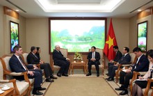 Cổ đông lớn nước ngoài của Vinamilk, ô tô Trường hải, REE có thể tham gia tái cơ cấu ngân hàng yếu kém Việt Nam