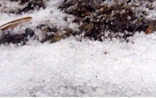 Lào Cai xuất hiện trận mưa đá đầu tiên trong năm Mậu Tuất