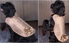 Chiếc áo khoác cho thú cưng đắt nhất thế giới, giá hơn 3 tỷ đồng có gì đặc biệt?