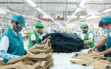 Chính phủ quy định tiêu chí doanh nghiệp nhỏ và vừa