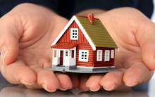 BĐS Netland chào sàn HNX với giá tham chiếu 21.000 đồng/cổ phiếu