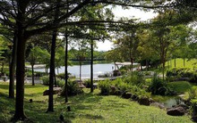 Địa ốc khu Nam Tp.HCM: Thị trường căn hộ đang phân hóa rõ nét