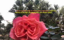 Chuyện cuối tuần: Cô bé phục vụ quán cháo đêm và bài học kinh doanh "Tạo ra sự khác biệt từ những điều nhỏ nhất"