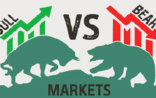 [Mạng xã hội chứng khoán] Cá hồi, tát ao, củ sả... ý nghĩa các "từ lóng" của dân chứng khoán là gì?