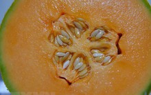 Australia: 3 người tử vong vì nhiễm khuẩn Listeria do ăn dưa lưới