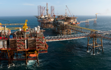 Giá dầu leo thang trước cuộc họp của OPEC và các nhà sản xuất đá phiến của Mỹ