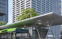 Hà Nội dừng triển khai tuyến buýt nhanh BRT Kim Mã-Hòa Lạc