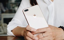 Thị trường iPhone Việt: Cơ hội của "người cũ" và "tay chơi" mới
