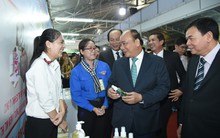 Chuyện dựng ‘tổ đại bàng’ ở Bến Tre