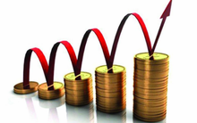 FIT quyết định chi 35,5 tỷ đồng mua thêm 2,4 triệu cổ phần Chứng khoán Đại Nam