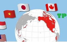 Hiệp định CPTPP: Việt Nam phải cải cách mạnh mẽ hơn để hưởng lợi