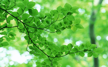 CTCK nhận định thị trường 10/04: Dòng tiền vẫn sẽ tiếp tục chảy vào những cổ phiếu mà doanh nghiệp có kết quả kinh doanh tốt trong quý 1