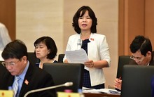 Băn khoăn quy định đặc khu được cho thuê đất kéo dài đến 99 năm