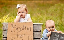 'Trên thế giới này, có một thứ tình yêu gọi là tình thân': Bài văn "Tôi và em trai cách nhau mười tuổi" khiến hàng triệu cư dân MXH thổn thức