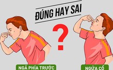 Ngả phía trước hay ngửa đầu ra sau khi chảy máu cam: Không biết khiến bạn có thể xử lý sai